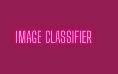 Image Classifier image